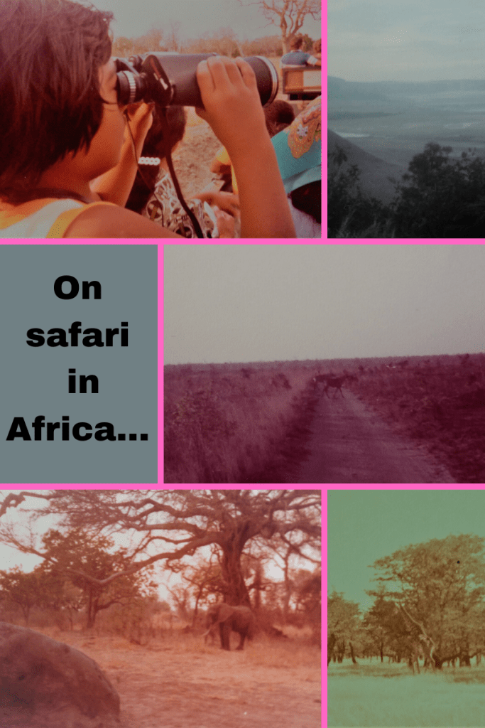 six-grid box. top left girl holding binoculars with black hair. top right image of valley in mist. middle left grey box with words in black On safari in Africa... bottom left faded speia hued image of elephant under large tree. bottom right sepia toned image of trees and giraffe underneath.