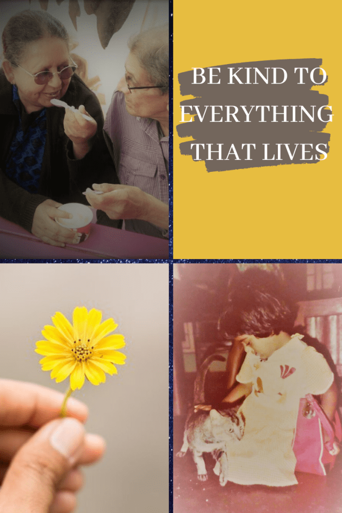 four-grid box. top left elderly man and women sharing ice cream tub. top right yellow background with brown splodge of paint with letters across 'Be kind to everything that lives.' bottom left hand holding yellow small flower. bottom right young girl seated on floor stroking grey cat with red bag beside her.