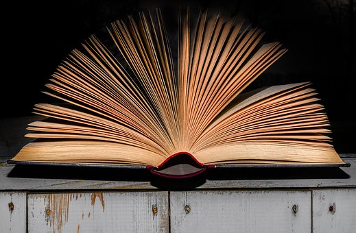 image of open book upon a wooden shelf or ledge. brownish pages splayed open.