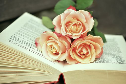 image of open book on table with three pale pink roses across middle of pages.