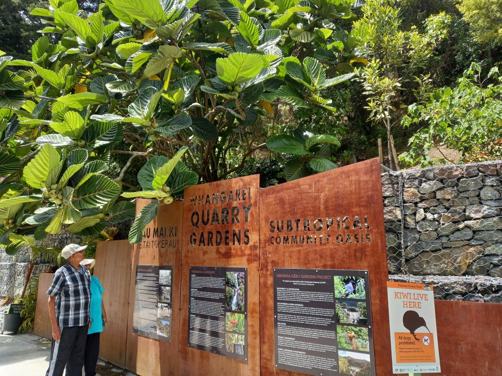 elderly couple in bottom left corner looking at boards which say Whangarei Quarry Gardens with large tree above them.
