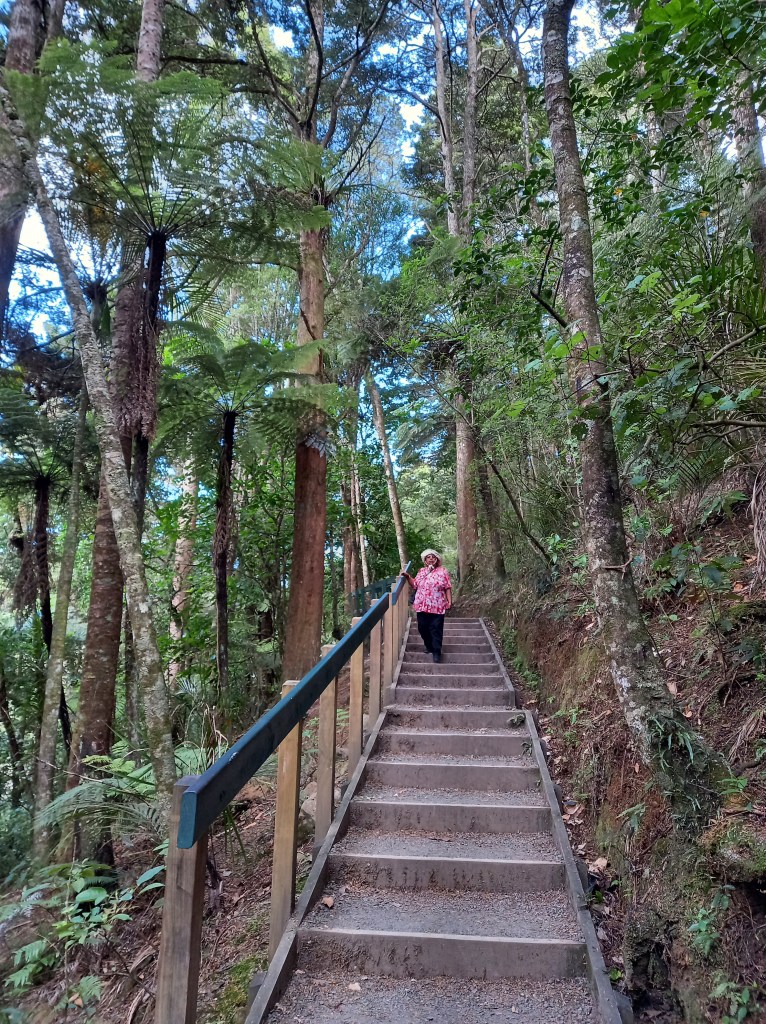 long and tall trees hug a narrow set of stairs with railing in middle of image. woman in red top and black pants standing towards top of stairs.