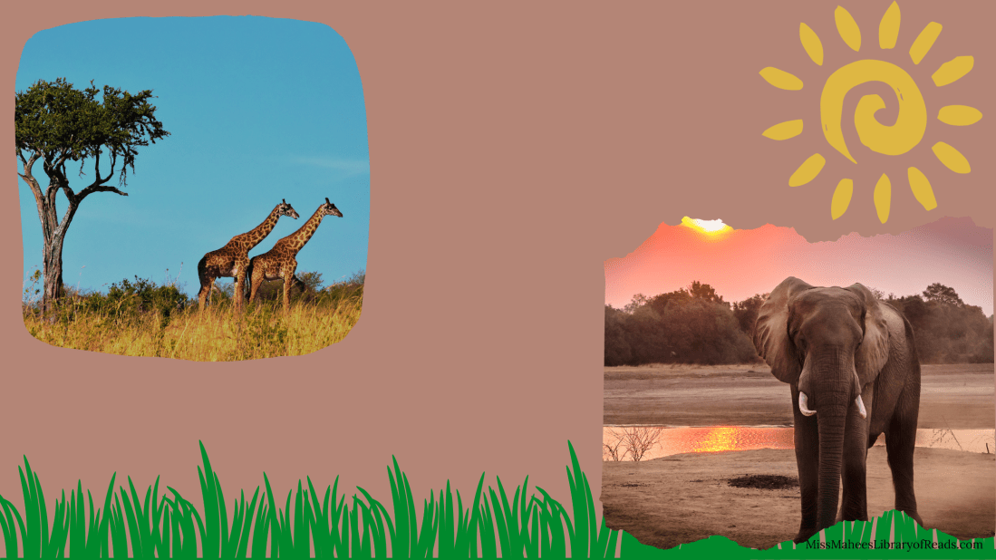banner with light brown background. two images in top left and bottom right ends. top left image of two brown and gold dappled giraffes standing looking towards right in long dry grass and taller tree with bright blue sky behind them. bottom right image of lone dark-skinned elephant with tusks looking ahead with water and sunset sky behind it. cartoon image of green grass along bottom edge and yellow swirl of sun on top right corner.
